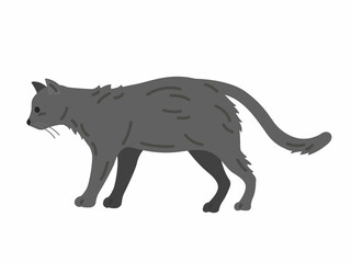 横から見た、黒猫ののイラスト