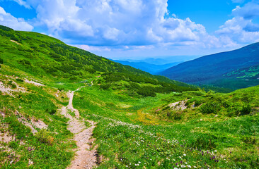 The descent on the slope of the Mount Smotrych, Chornohora Mountain Range, Carpathians, Ukraine
