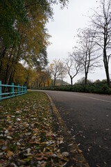 autumn in the park