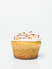 single muffin isolated
