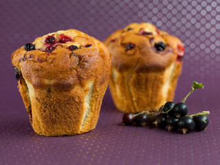 muffins with black currants