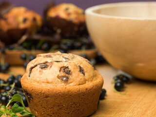 traditional blackcurrant muffins