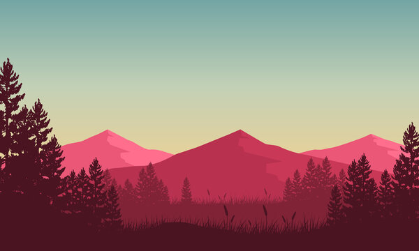 The beautiful mountain panorama of the countryside with an aesthetic silhouette of pine trees © City