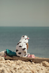 Obraz premium Girl in kigurumi cow sits on the seashore, spring walk