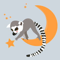 Baby lemur on the moon. Midnight background. Vector illustration.