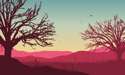 An stunning mountain panorama in the afternoon with the silhouette of the surrounding pine trees