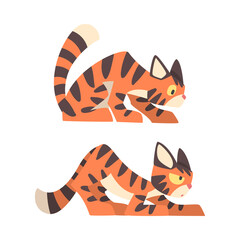 Tiger Character with Orange Fur and Black Stripes Sneaking Vector Illustration Set