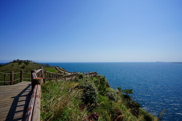 Fototapeta na wymiar seaside cliff walkway and distant island
