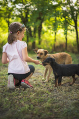Sweet little girl feeding and cuddling dogs in nature on a lovely sunny day