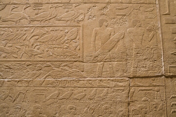  Egyptian hieroglyphic script used by ancient Egyptians to represent their language.