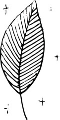 A leaf of a tree. A simple doodle illustration drawn by hand.