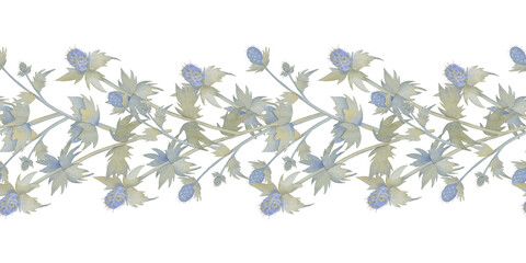 Botanical illustration of eryngium watercolor. Seamless horizontal pattern. Boho retro ribbon. Natural colors of the field flowers. Hippie and Bohemian style. Endless banner. Dried flowers border.