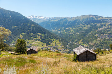 Fototapeta na wymiar Prairies alpines en Valais, Suisse