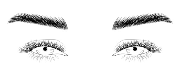Woman's sexy makeup look with perfectly shaped eyebrows and lashes. Vector illustration for business visit card, typograph, print. Perfect salon look. Brows and lashes lamination.