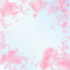 Sakura petals falling down. Romantic pink flowers vignette. Flying petals on blue sky square background. Love, romance concept. Exotic wedding invitation.