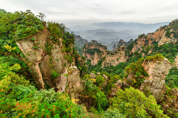 Quartz sandstone pillars (Avatar Mountains)