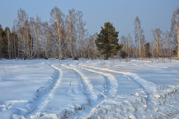 Fototapeta na wymiar Winter landscape. The road through deep snow in the forest. Beautiful blue sky. Winter in Siberia