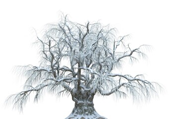 Winter tree in the snow isolated on white background 3d illustration