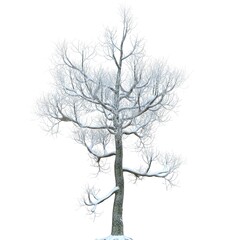 Winter tree in the snow isolated on white background 3d illustration