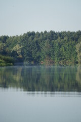 lake and forest