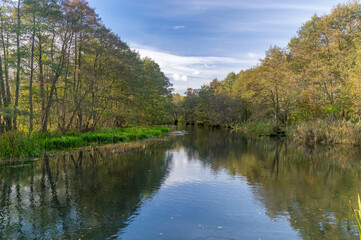 Fototapeta na wymiar The Radunia River in early autumn in Poland.