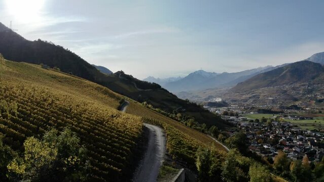 Vignes dans le Valais suisse