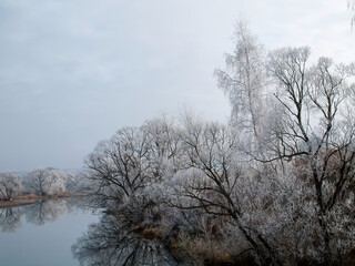 Obraz na płótnie Canvas trees covered with frost on the river bank