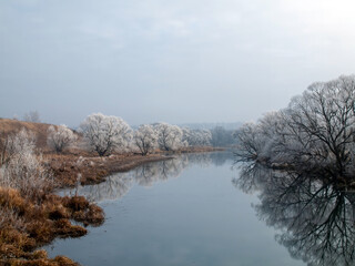 trees covered with frost on the river bank