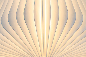 Book light