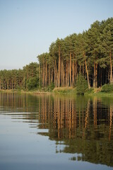 lake and forest