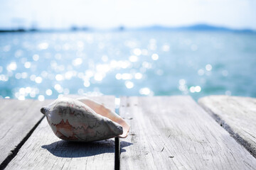 Conch sea shell on wooden table at coast with blur bokeh blue sea and blue sky out door landscape view background. tourist travel vacation tropical summer in holidays concept.