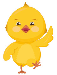 Cheerful walking yellow chicken. Funny bird with pink cheeks and big eyes isolated on white background.