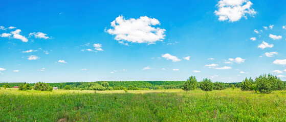 A wide panorama of the natural landscape on a clear summer day. Meadow with grasses, forest, sky with clouds