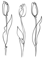 One line artwork Tulip flower. Minimalist contour drawing. Valentines day card . Isolated on white background. EPS 8.