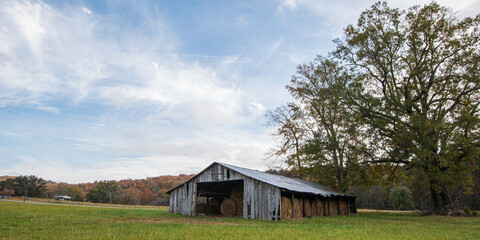 Countryside panorama with barn and large oak tree