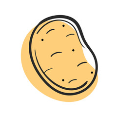 Vector potato line and abstract spot on white isolated background.