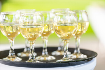 Full glasses with white wine on a tray