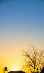 Abstract sunrise sky over dry trees, roof, and water tank, illustrated in two tones, vertical.
