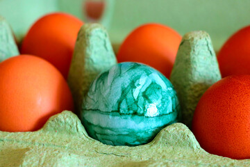 Multi-colored egg in a cardboard package. Preparing for Easter.