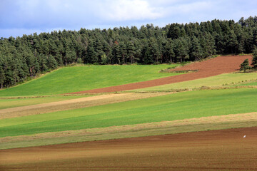 beaux terrains agricoles