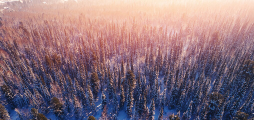 Beautiful winter panorama mountain forest in snow, sunset evening aerial top view