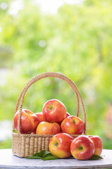 Fresh Red apple in basket over blurred greenery background, US. Red Envy apple in wooden basket on wooden table in garden.