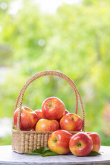Fresh Red apple in basket over blurred greenery background, US. Red Envy apple in wooden basket on...