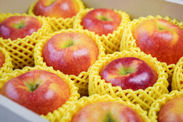 Fresh Red apple in packaging ready to sell, US. Red Envy apple in the paper box.