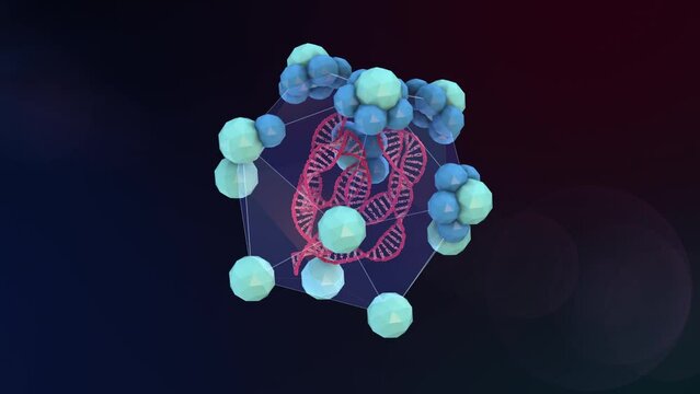 Adenovirus building up, double-stranded DNA, icosahedral capsid, hexon proteins, penton bases with fibers and receptors. 3d animation