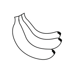 Three banana outline illustration vector.Drawing sketch banana