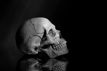 human skull on black with reflection