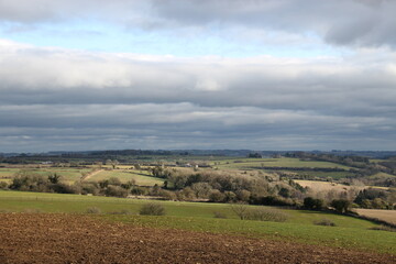 nature in the winter, Naunton, Cotswolds