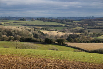 Obraz premium nature in the winter, Naunton, Cotswolds
