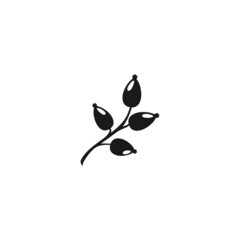 wild rose branch with berries. Black icon on white background. Winter and autumn vector with twigs.